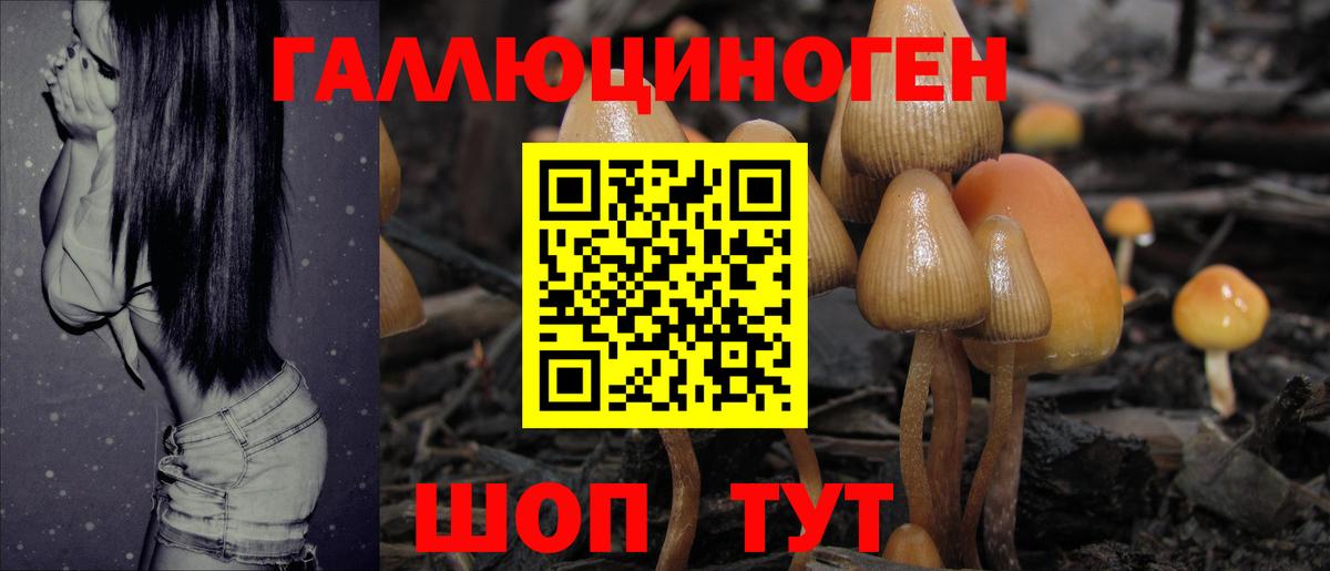 Галлюциногенные грибы GOLDEN TEACHER  Псилоцибиновые грибы Cubensis  Вход с VPN  Волхов 
