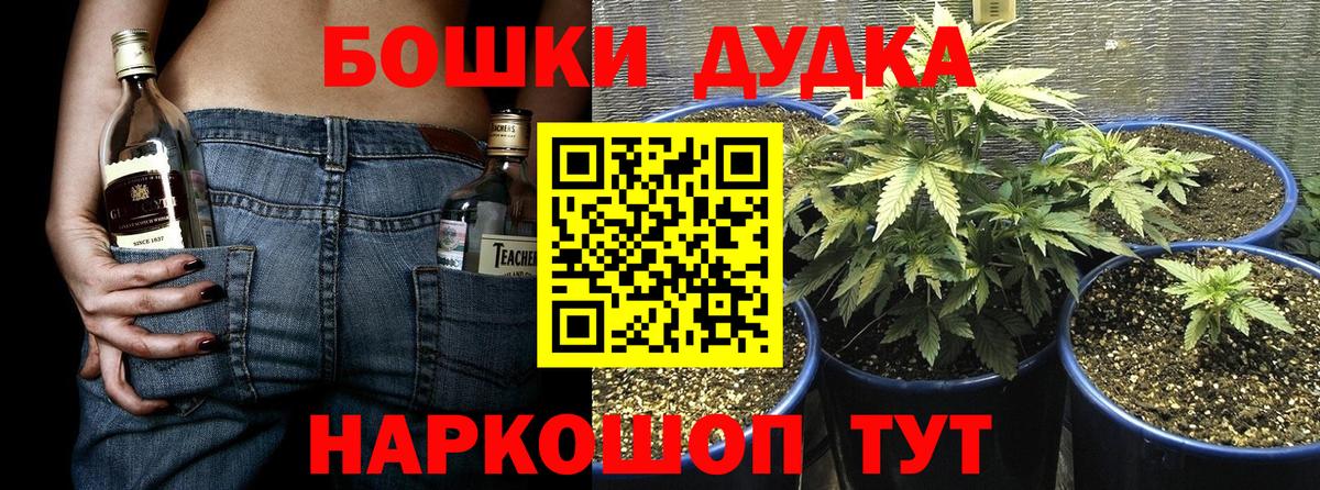 МАРИХУАНА White Widow Волхов